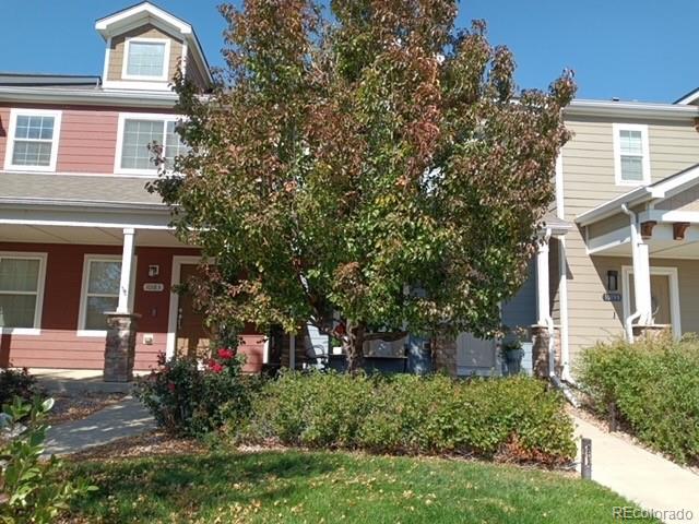 10191 Roughshod Court Colorado Springs, CO 80911 - Photo 31 of 45
