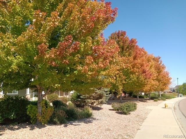 10191 Roughshod Court Colorado Springs, CO 80911 - Photo 33 of 45
