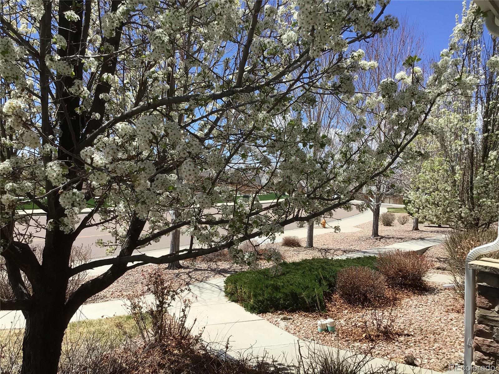 10191 Roughshod Court Colorado Springs, CO 80911 - Photo 34 of 45