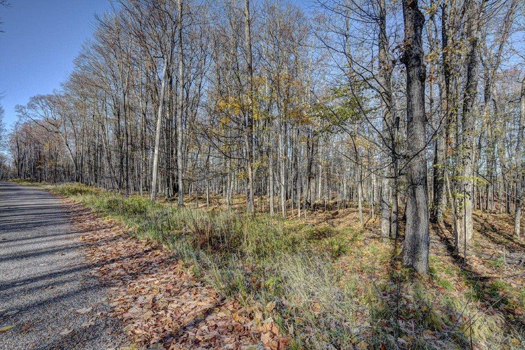 Lot # Timber Wolf Road Presque Isle, WI 54557 - Photo 6 of 16 Gallery Image 6