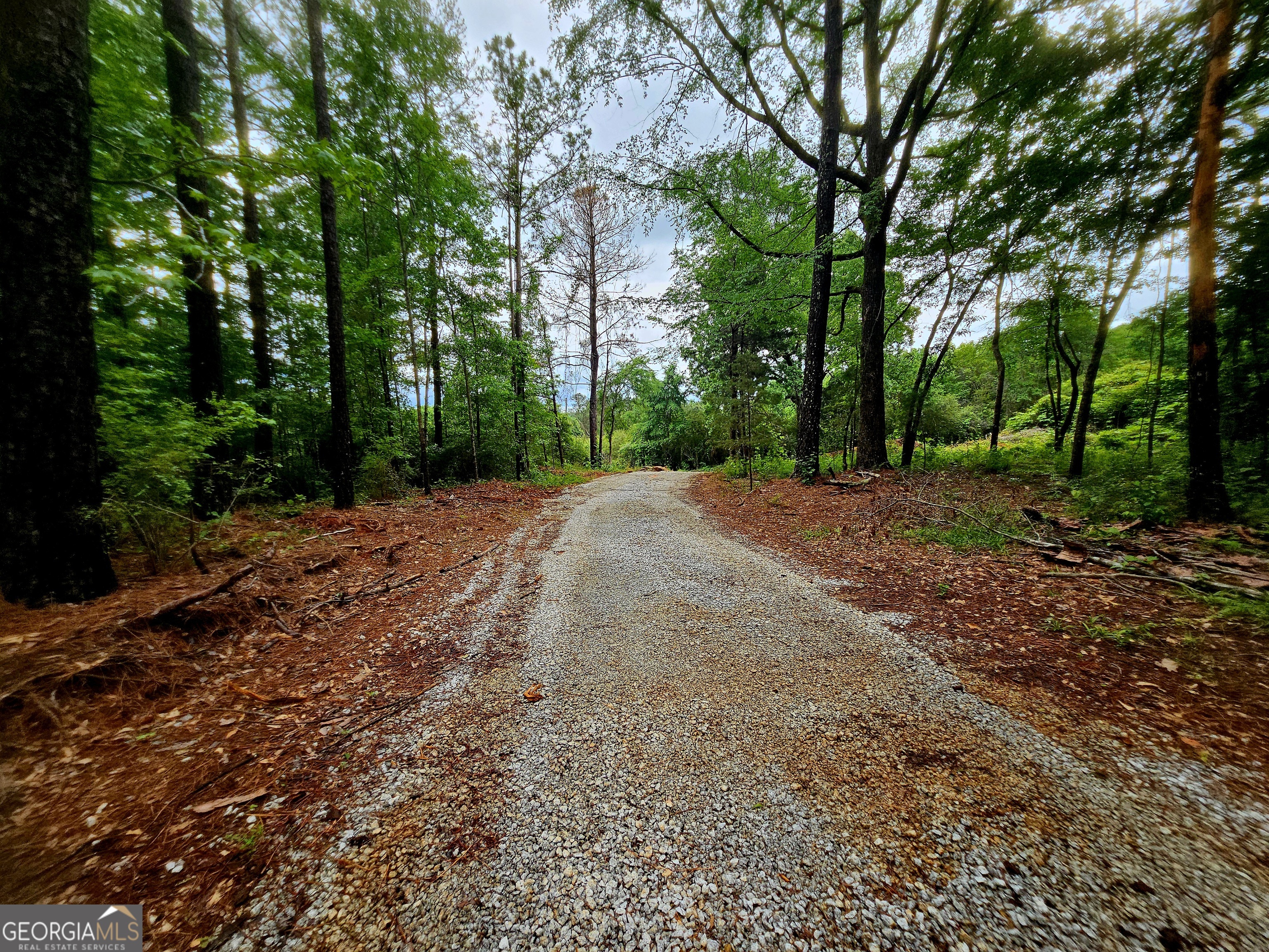 0 School House Hill Road Franklin, GA 30217 - Photo 2 of 10