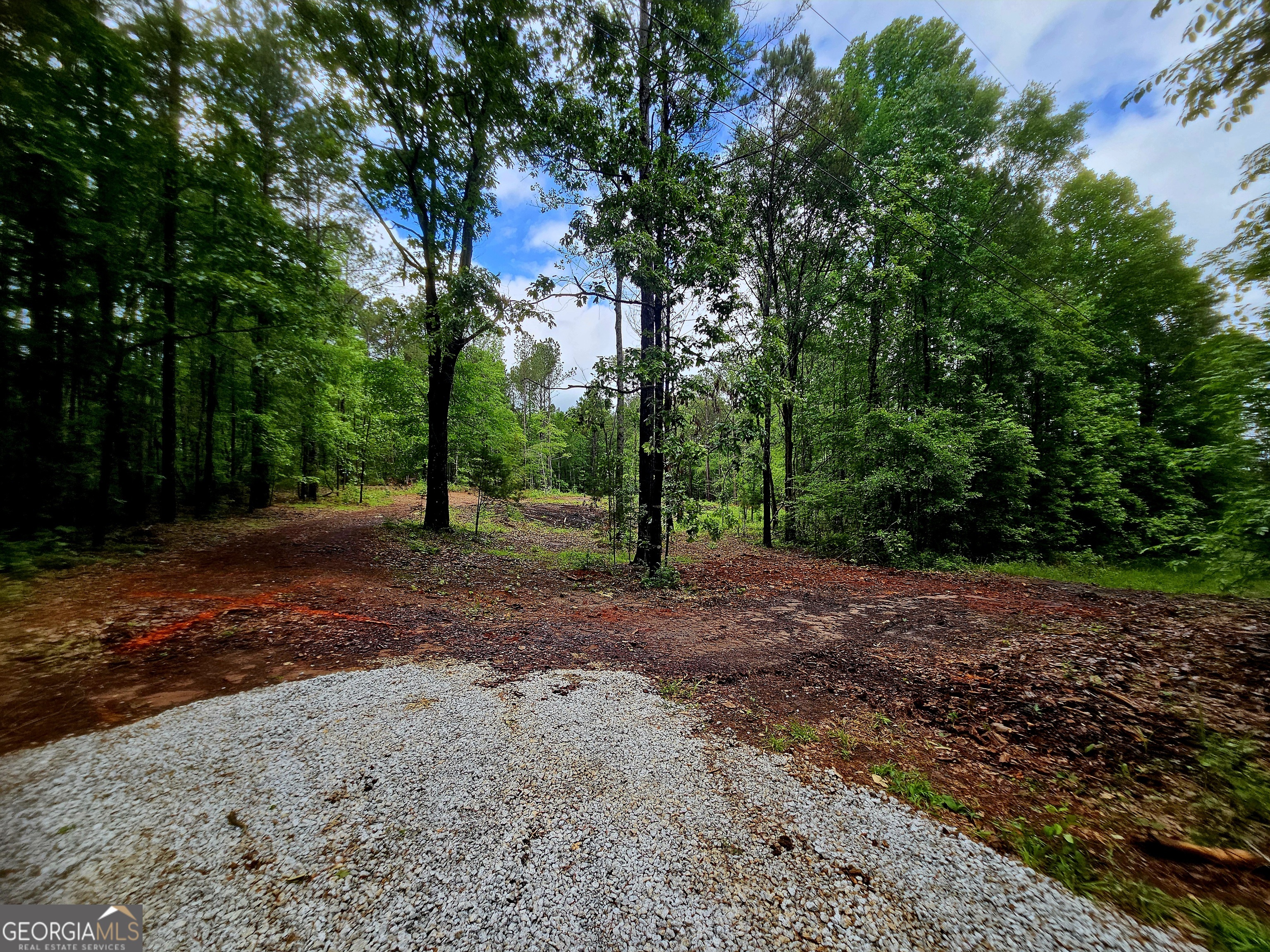 0 School House Hill Road Franklin, GA 30217 - Photo 3 of 10