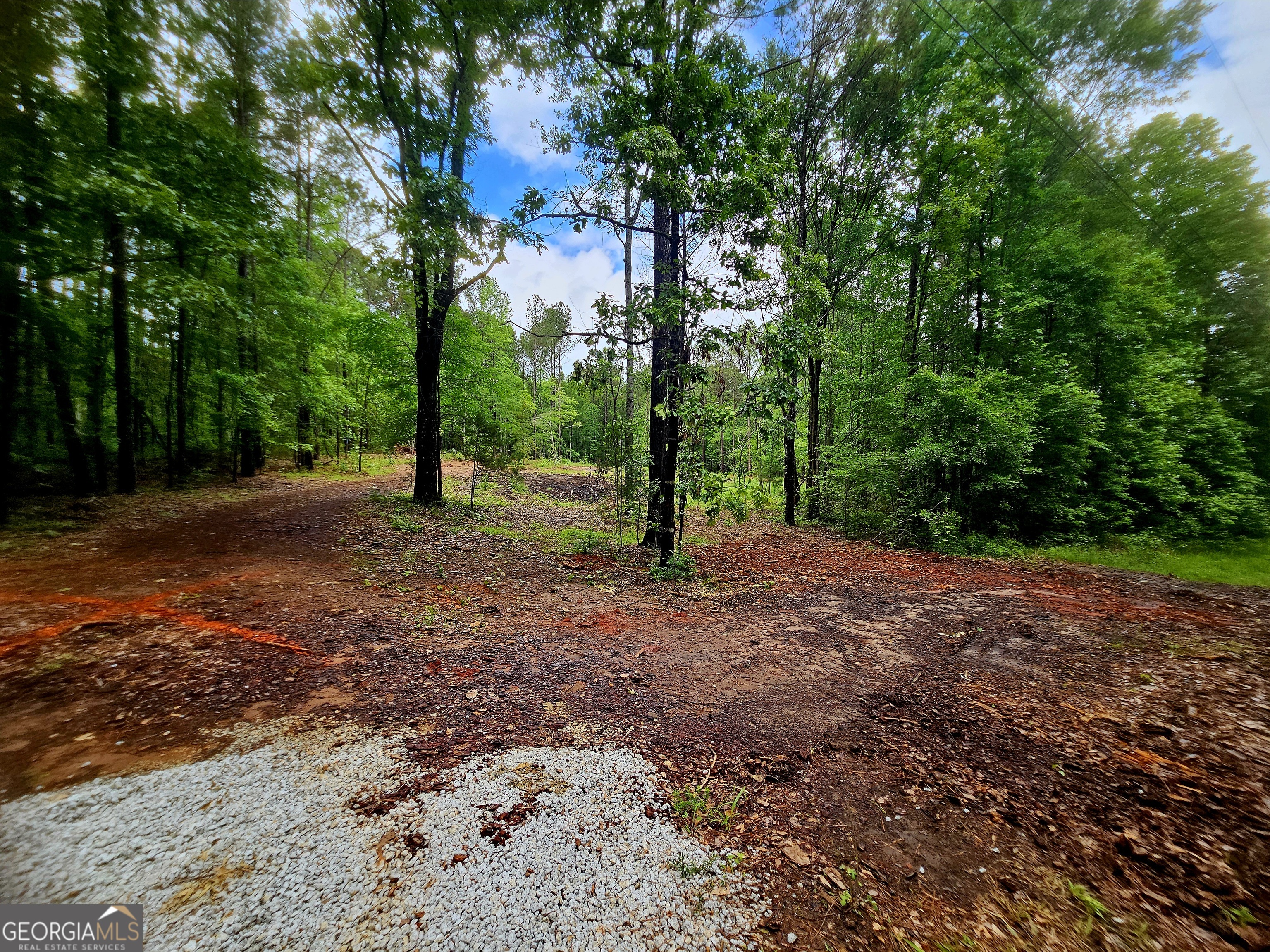0 School House Hill Road Franklin, GA 30217 - Photo 4 of 10