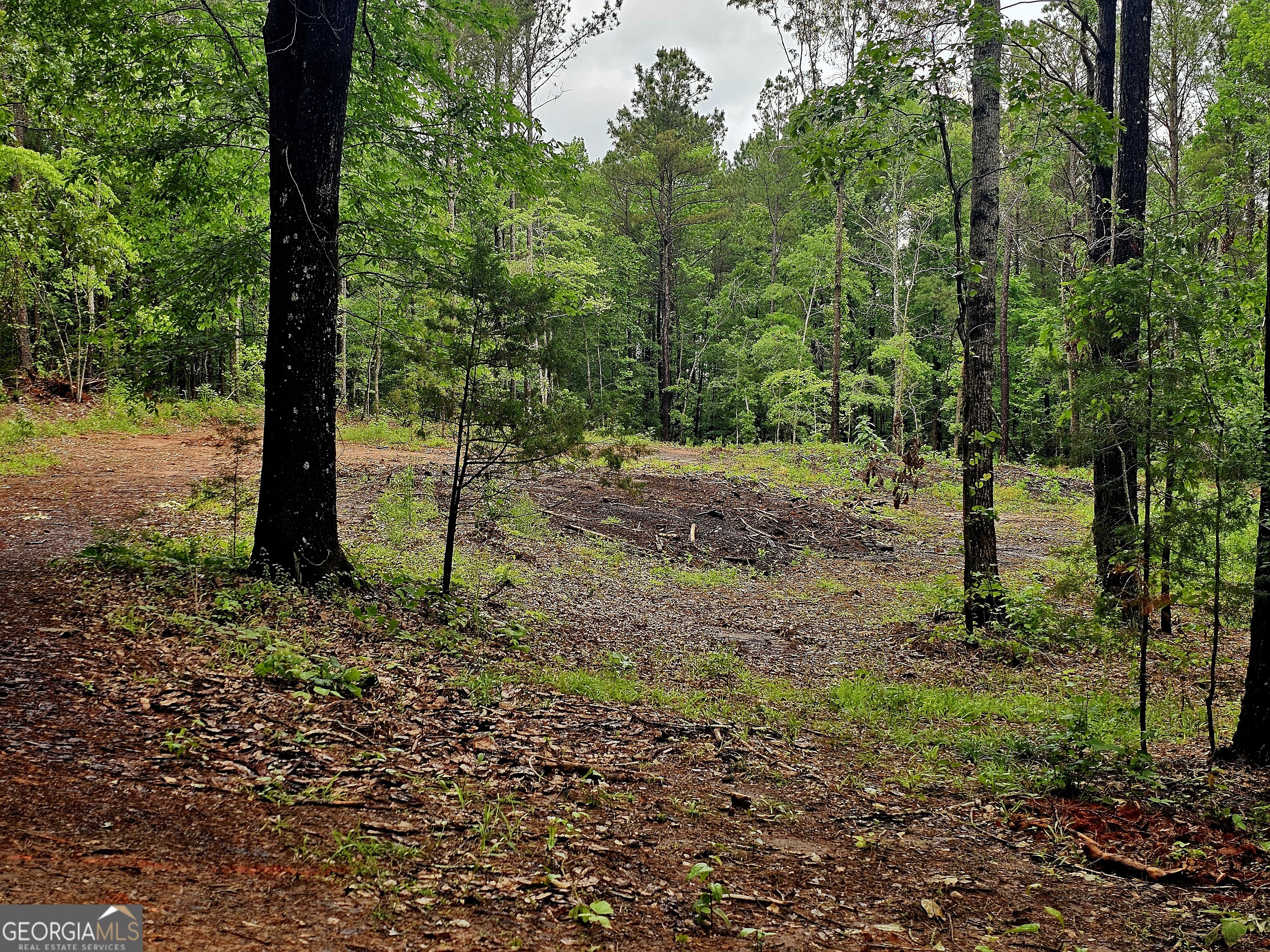 0 School House Hill Road Franklin, GA 30217 - Photo 5 of 10