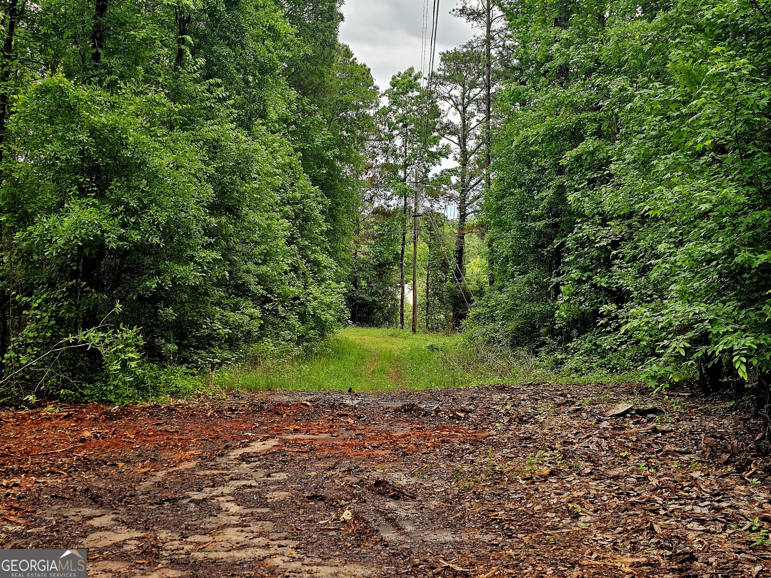 0 School House Hill Road Franklin, GA 30217 - Photo 6 of 10