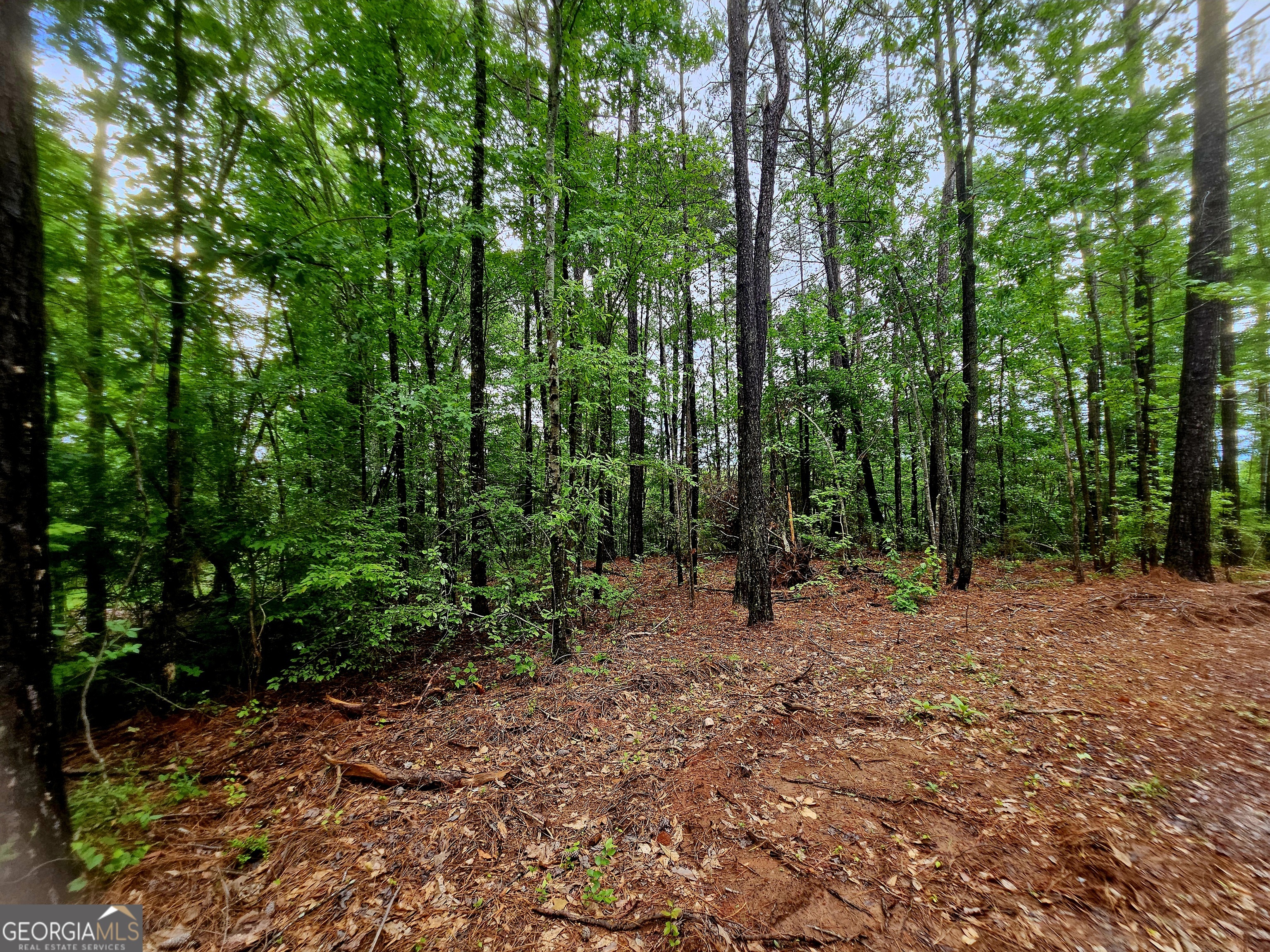 0 School House Hill Road Franklin, GA 30217 - Photo 7 of 10