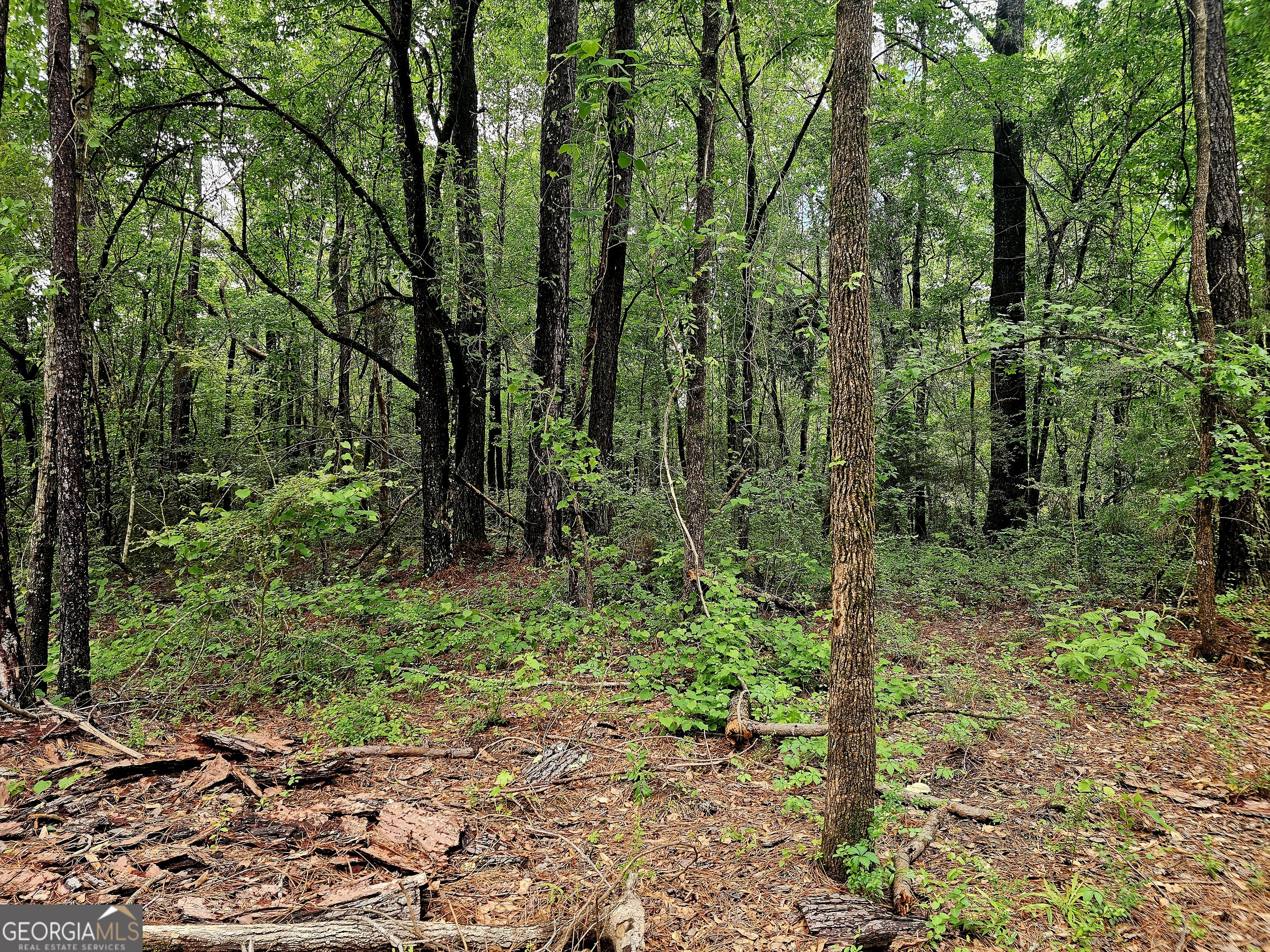 0 School House Hill Road Franklin, GA 30217 - Photo 8 of 10