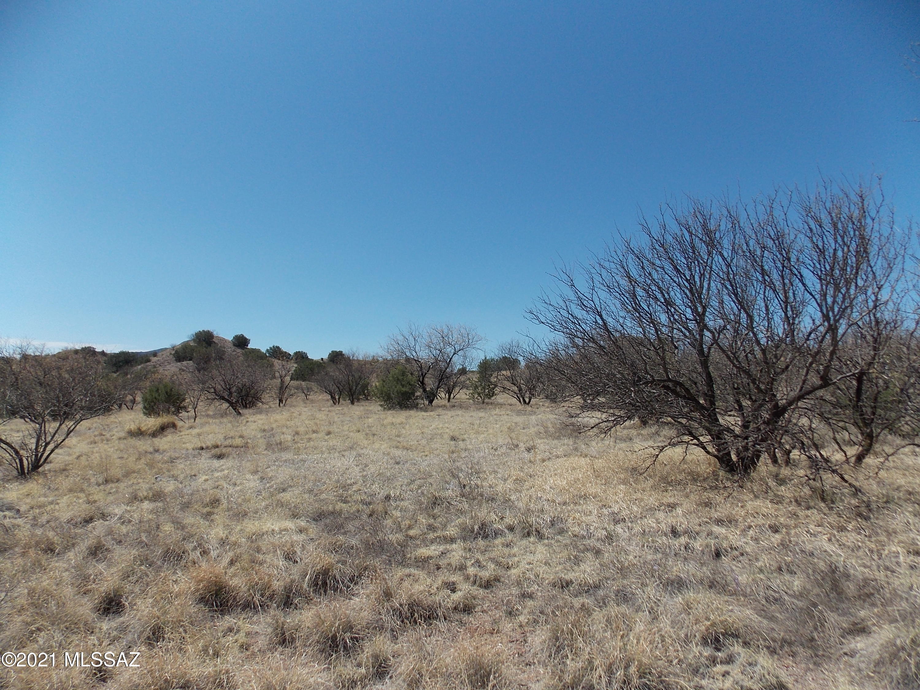 154 Tanglehead, Unit 44 Patagonia, AZ 85624 - Photo 8 of 15