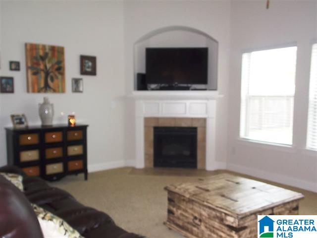 452 Blackberry Boulevard Springville, AL 35146 - Photo 3 of 21