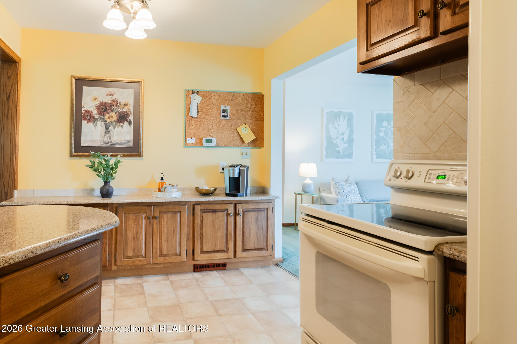 895 East Haslett Road Williamston, MI 48895 - Photo 11 of 40 895EHaslett11