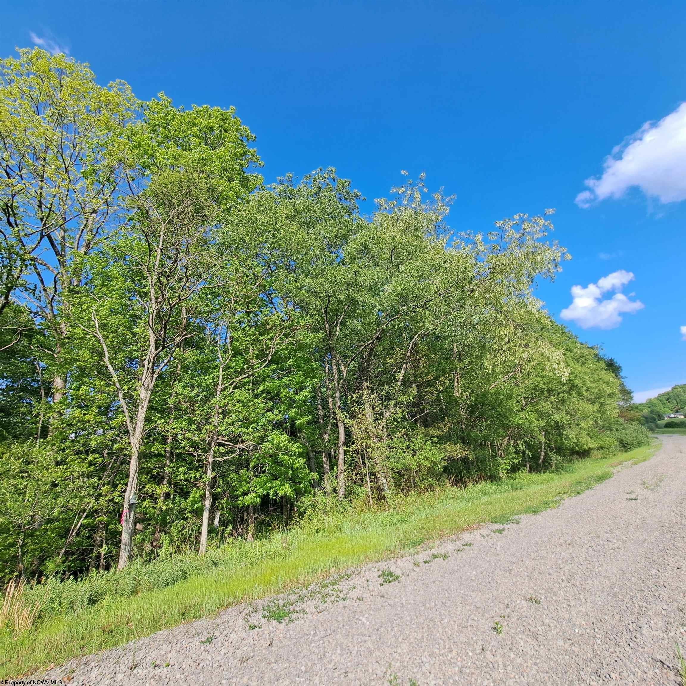 Tbd Hudson Mill Road Albright, WV 26519 - Photo 7 of 10 Gallery Image 7