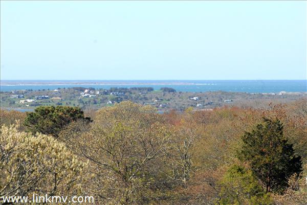 33 Beetlebung Road Chilmark, MA 02535 - Photo 3 of 33 an aerial view of residential houses with outdoor space and trees