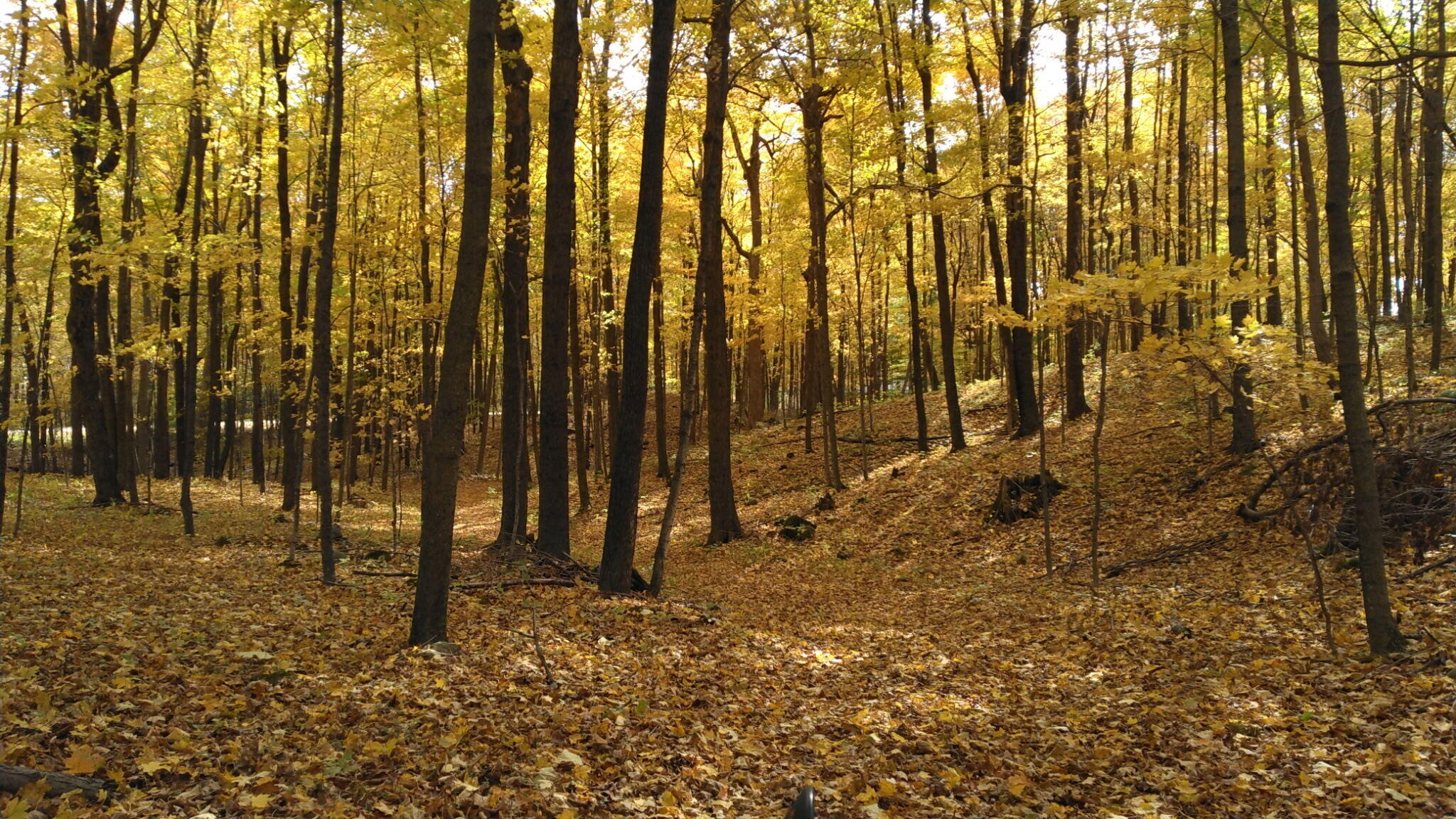 Lt1 Blue Goose Road West Bend, WI 53095 - Photo 12 of 13 6650275509133503813