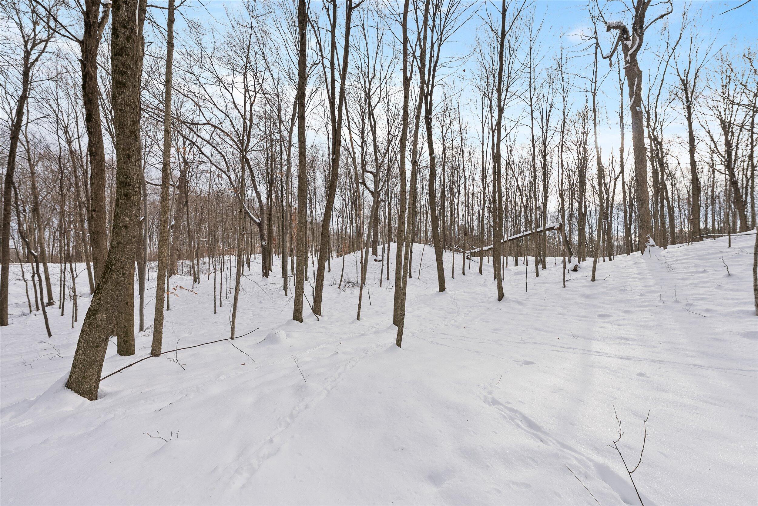 Lt1 Blue Goose Road West Bend, WI 53095 - Photo 5 of 13 09-Middle Coast-9