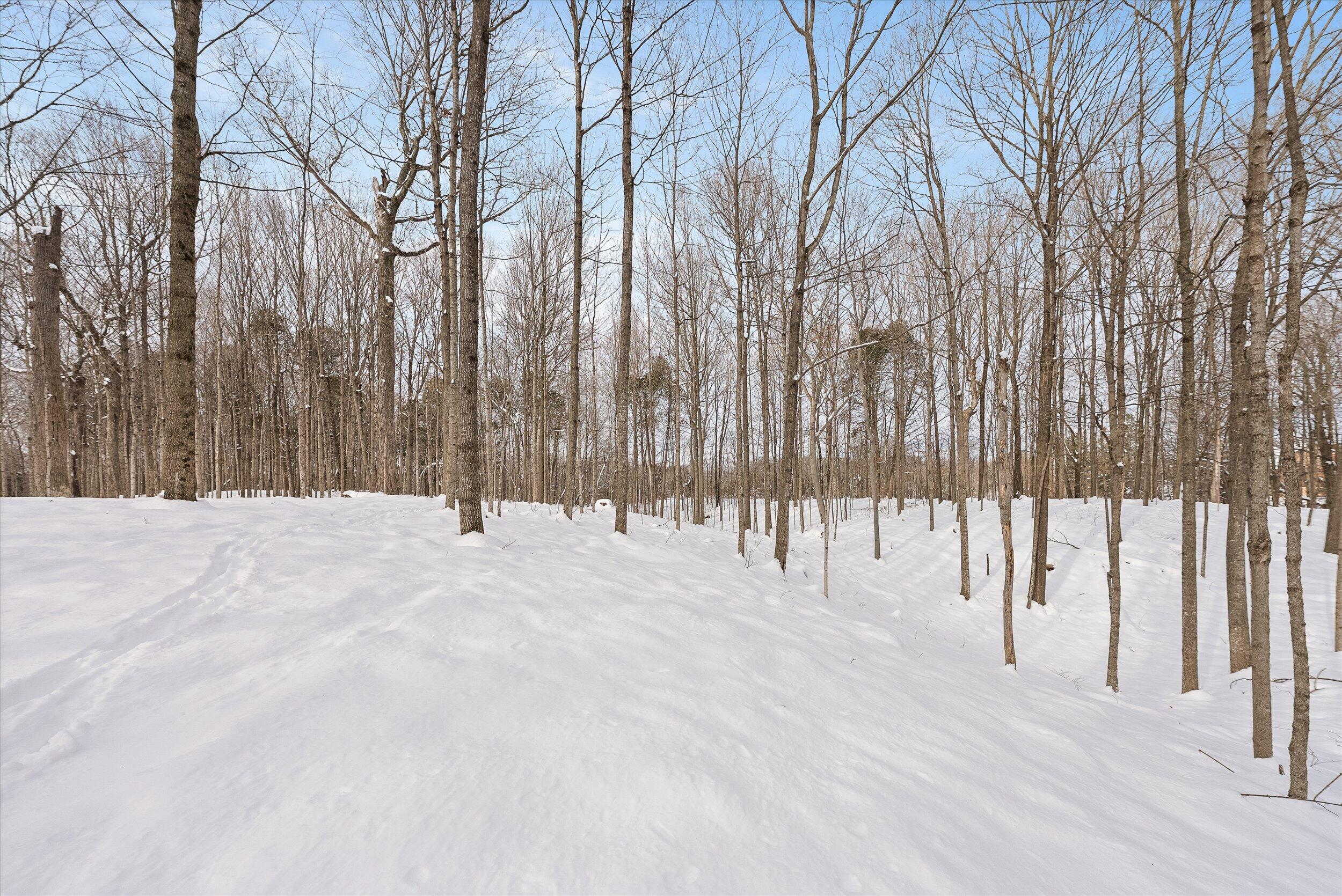 Lt1 Blue Goose Road West Bend, WI 53095 - Photo 6 of 13 10-Middle Coast-10
