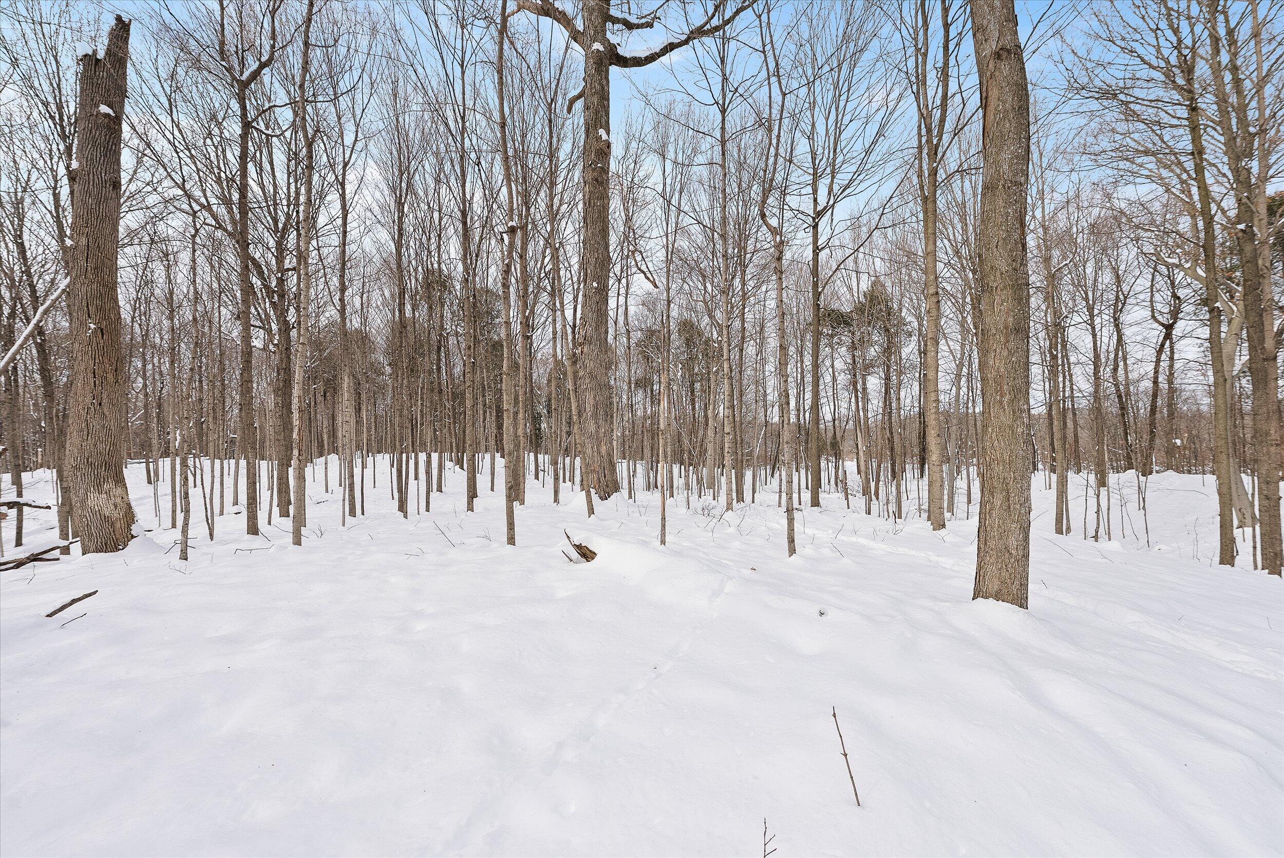 Lt1 Blue Goose Road West Bend, WI 53095 - Photo 7 of 13 11-Middle Coast-11