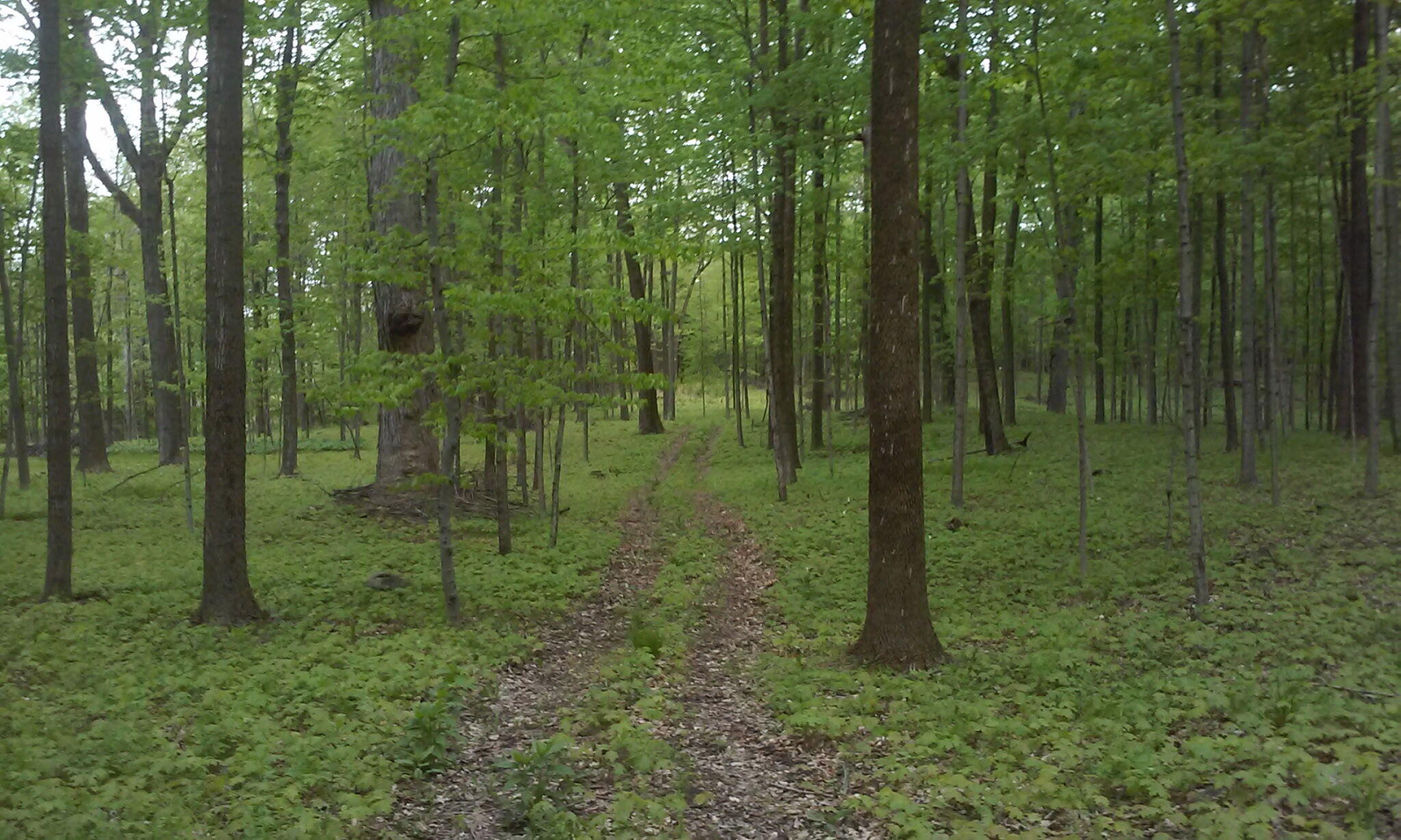 Lt1 Blue Goose Road West Bend, WI 53095 - Photo 10 of 13 1395758925828016596