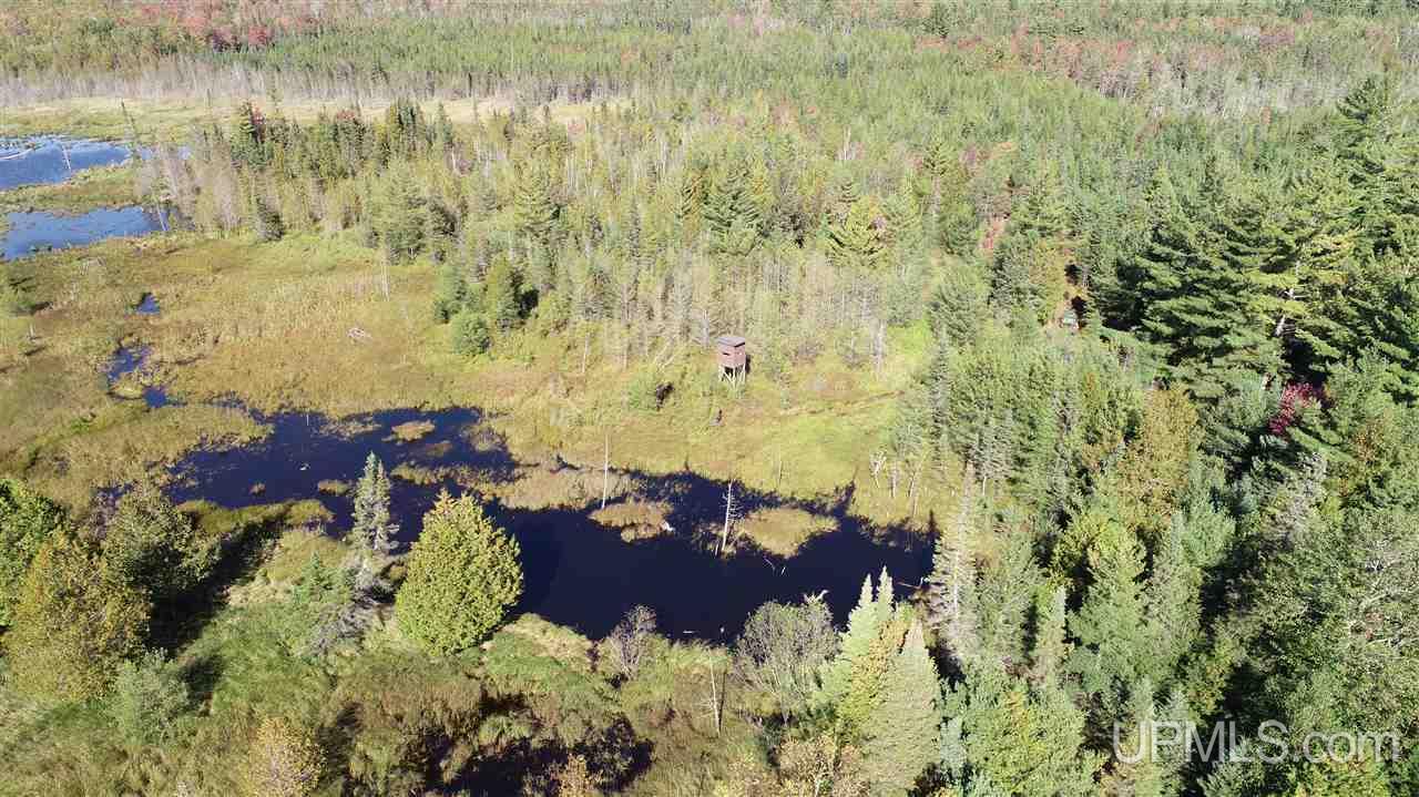1480 Acres On Co Road Manistique, MI 49854 - Photo 37 of 49