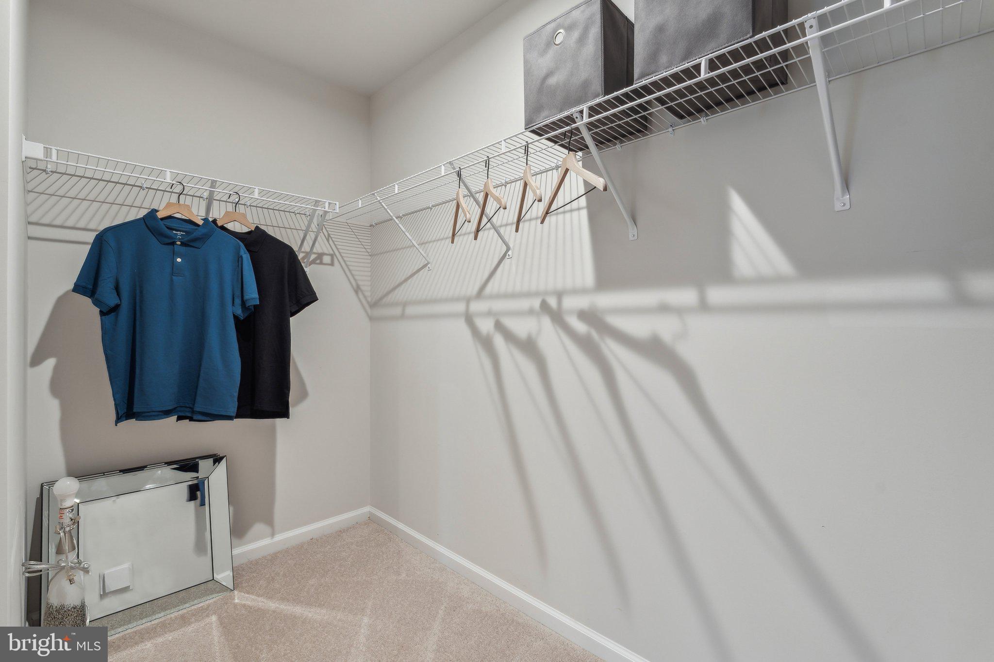 4 Apollo Road Charles Town, WV 25414 - Photo 7 of 22 Sagamore- Primary Bedroom walk in closet