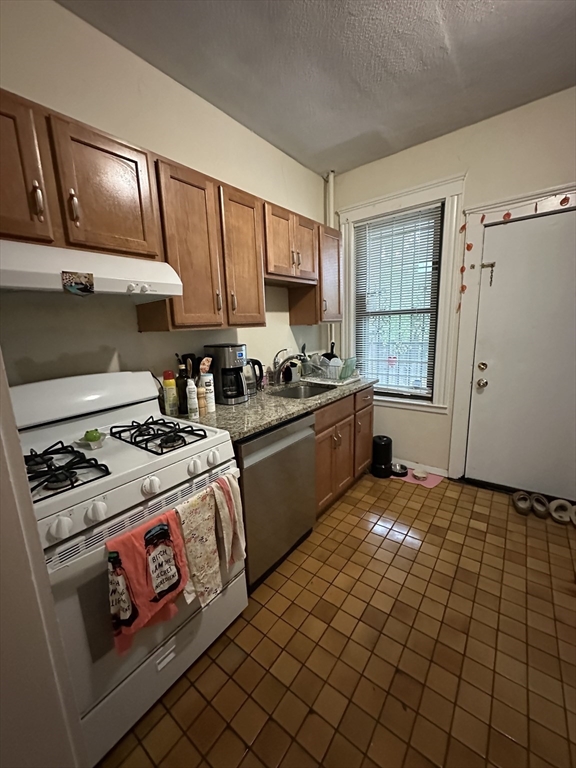 6 Bellvista Road, Unit 2 Boston, MA 02135 - Photo 4 of 11