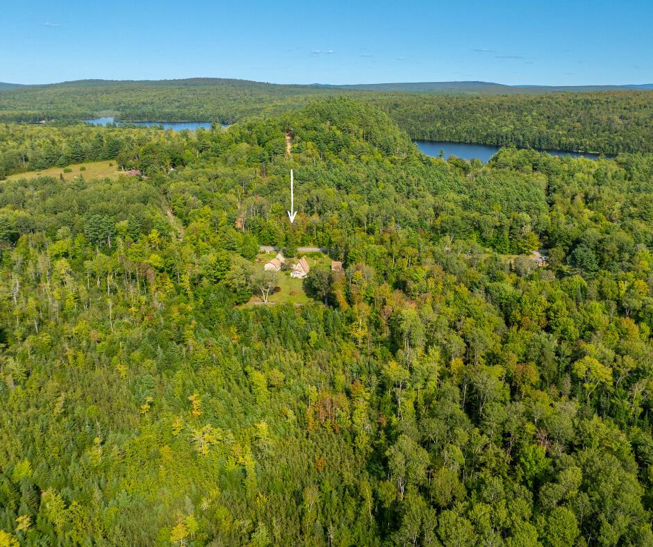 Lot 21-2 Great Pond Road Aurora, ME 04408 - Photo 2 of 3 Untitled design (3)