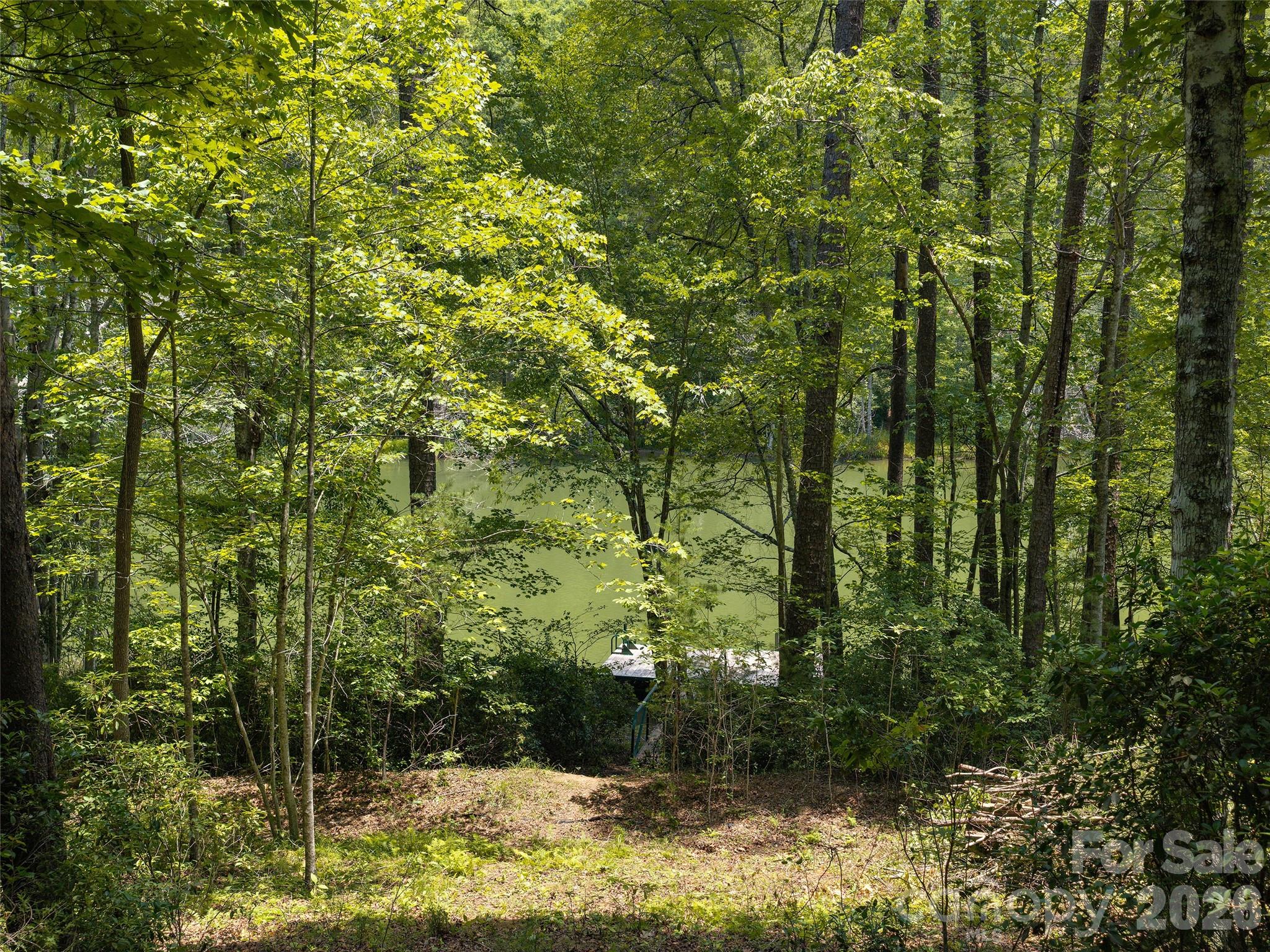 Lot 14 Parkway North Rd Mill Spring, Unit 14 Mill Spring, NC 28756 - Photo 7 of 14