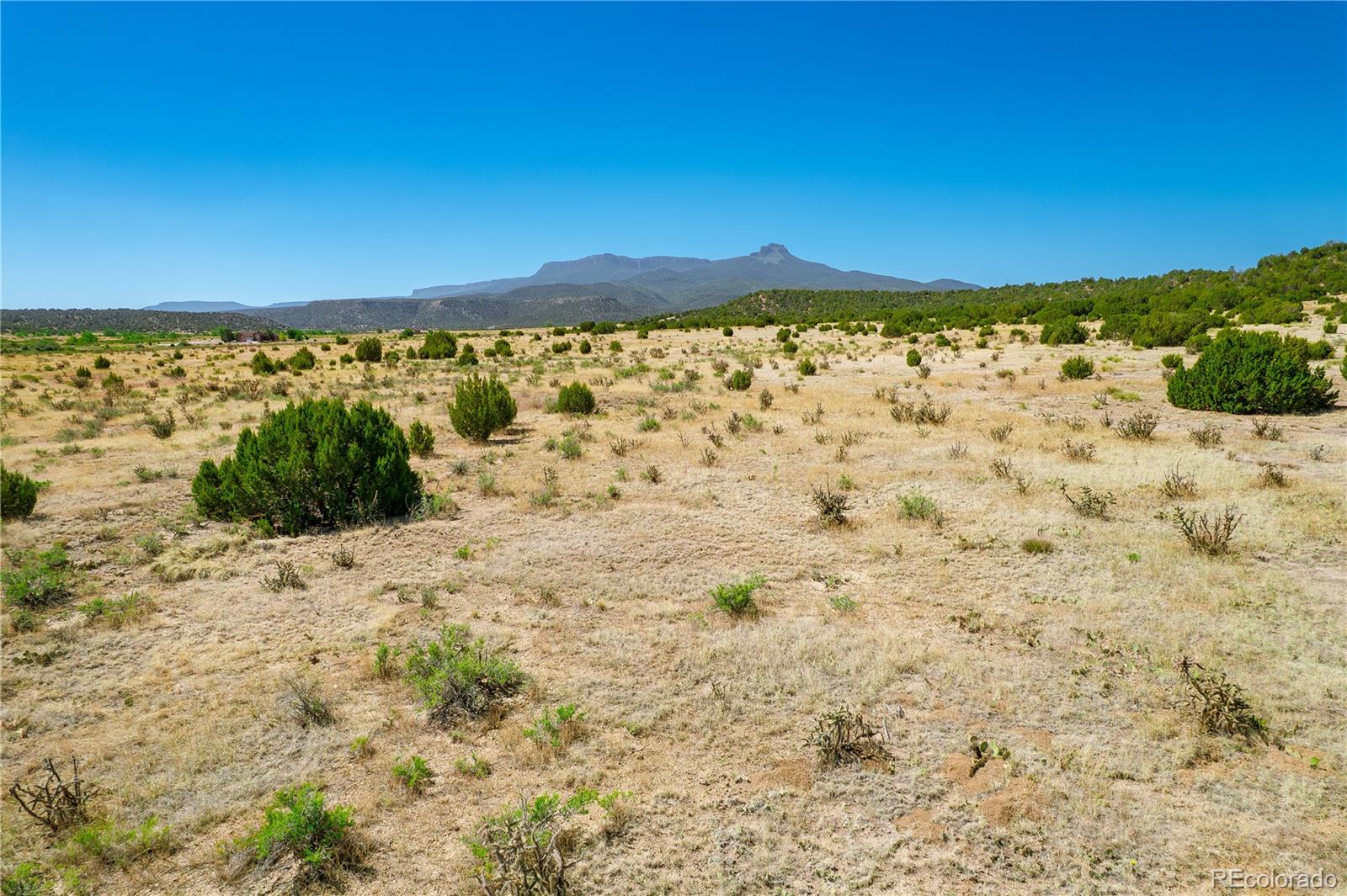 37300 Kunzite Road Trinidad, CO 81082 - Photo 10 of 35