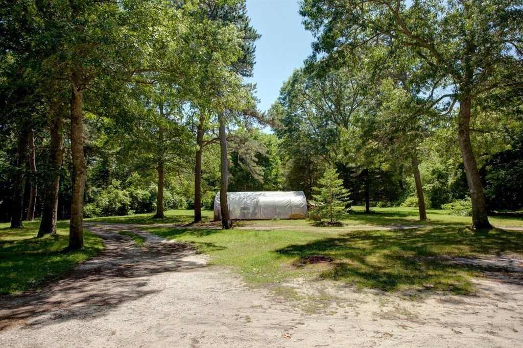 262 County Road Bourne, MA 02532 - Photo 11 of 23 a view of a trees in a park