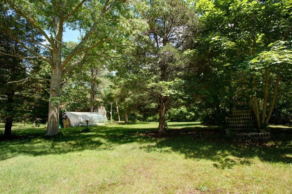 262 County Road Bourne, MA 02532 - Photo 13 of 23 a view of a park with large trees