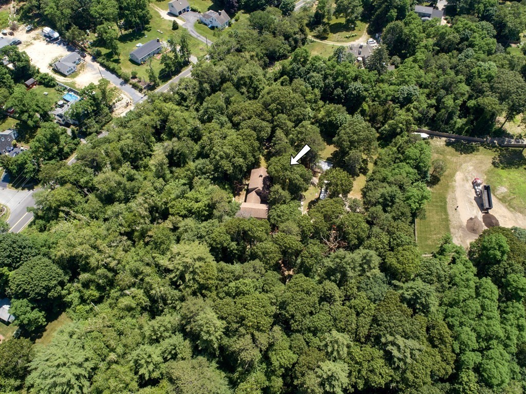 262 County Road Bourne, MA 02532 - Photo 16 of 23 a view of a house with a lush green forest