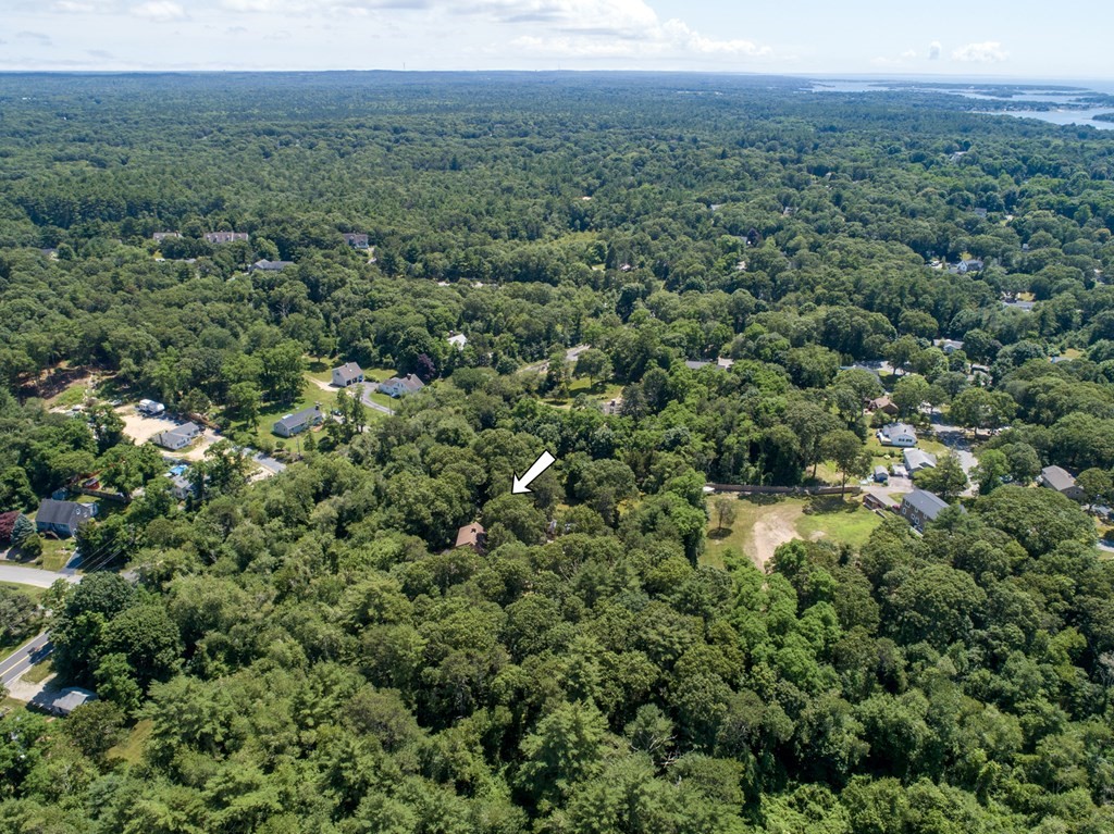 262 County Road Bourne, MA 02532 - Photo 23 of 23 a view of a lush green forest with trees and some houses