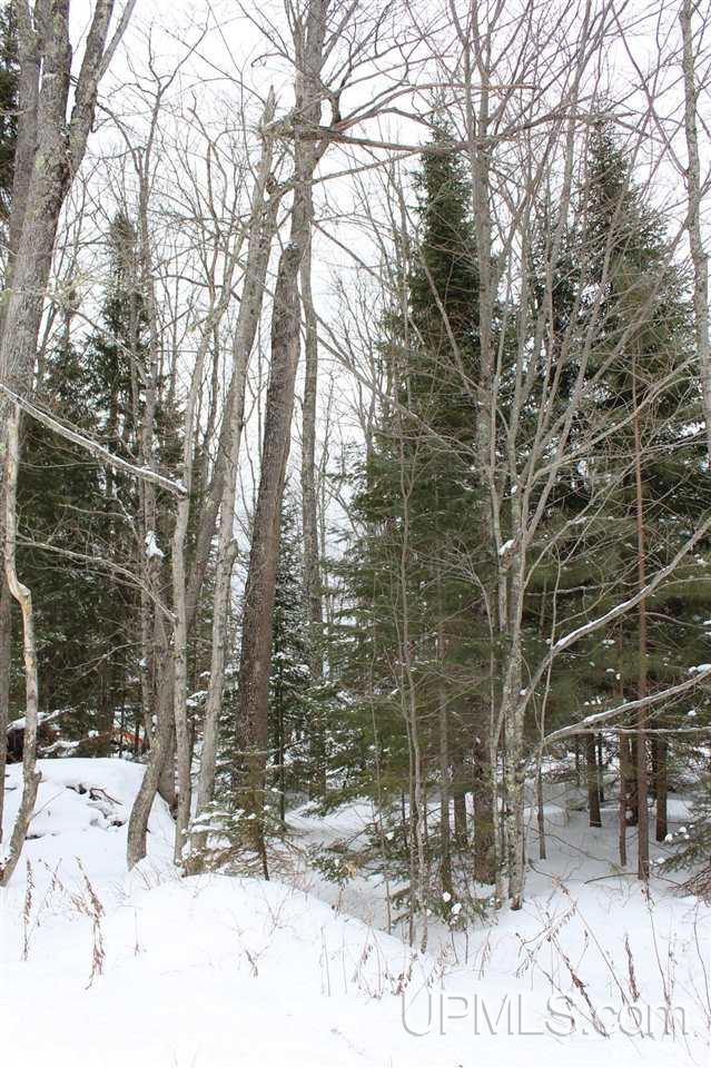 Tbd Des Rochers Road, Unit LOT 19 Pelkie, MI 49958 - Photo 6 of 33