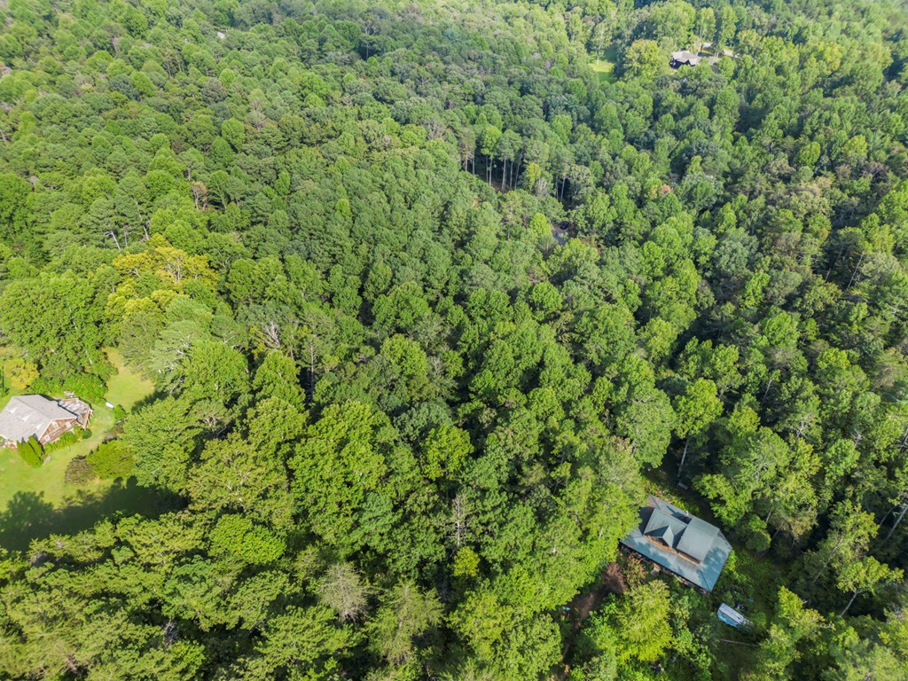 1080 Holt Road Ellijay, GA 30536 - Photo 12 of 17 Gallery Image 12