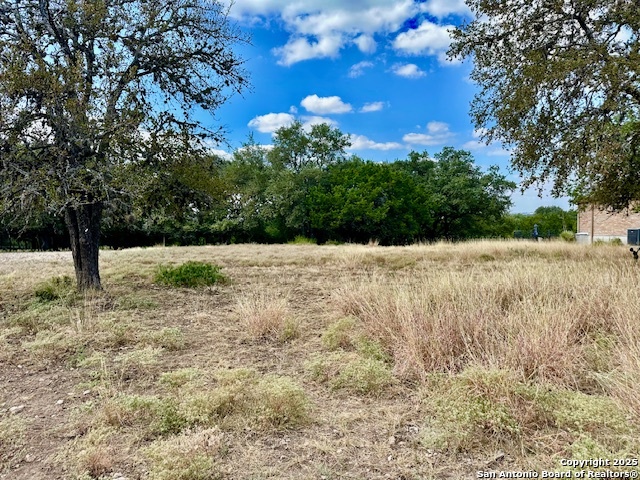 8423 Rochelle Road San Antonio, TX 78240 - Photo 3 of 6 a street view with wooden fence