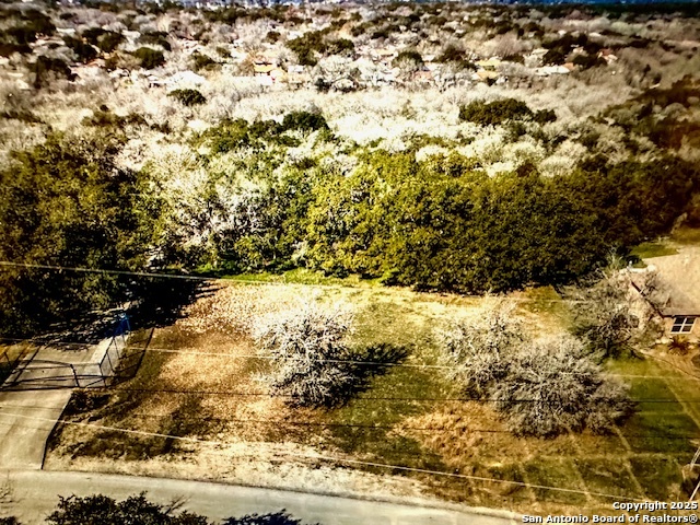 8423 Rochelle Road San Antonio, TX 78240 - Photo 5 of 6 a view of a yard