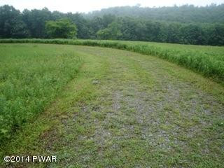 Moody Rd Lake Pleasant Mount, PA 18453 - Photo 3 of 12 Gallery Image 3