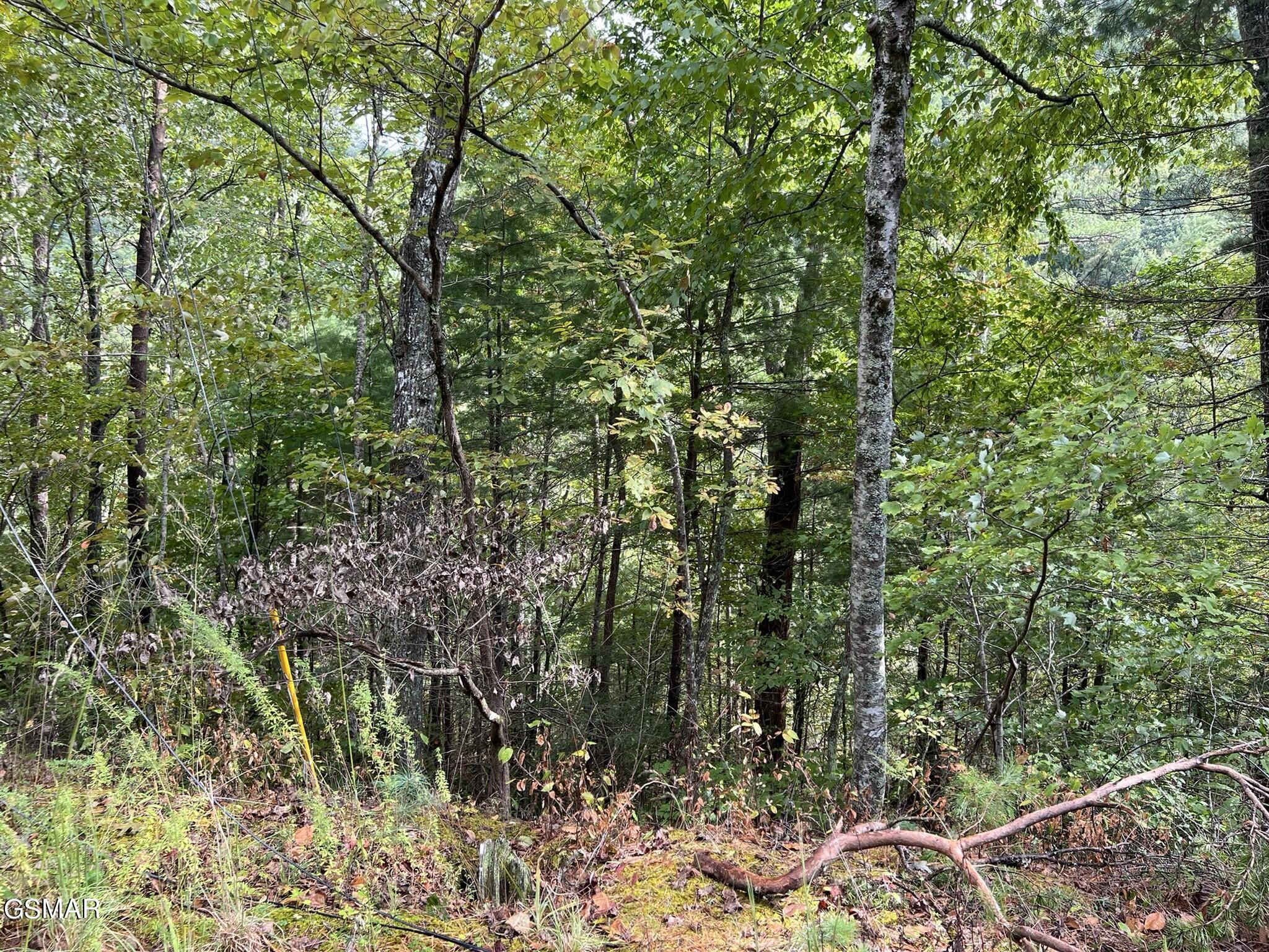 5 Sunset Road Sevierville, TN 37862 - Photo 11 of 15