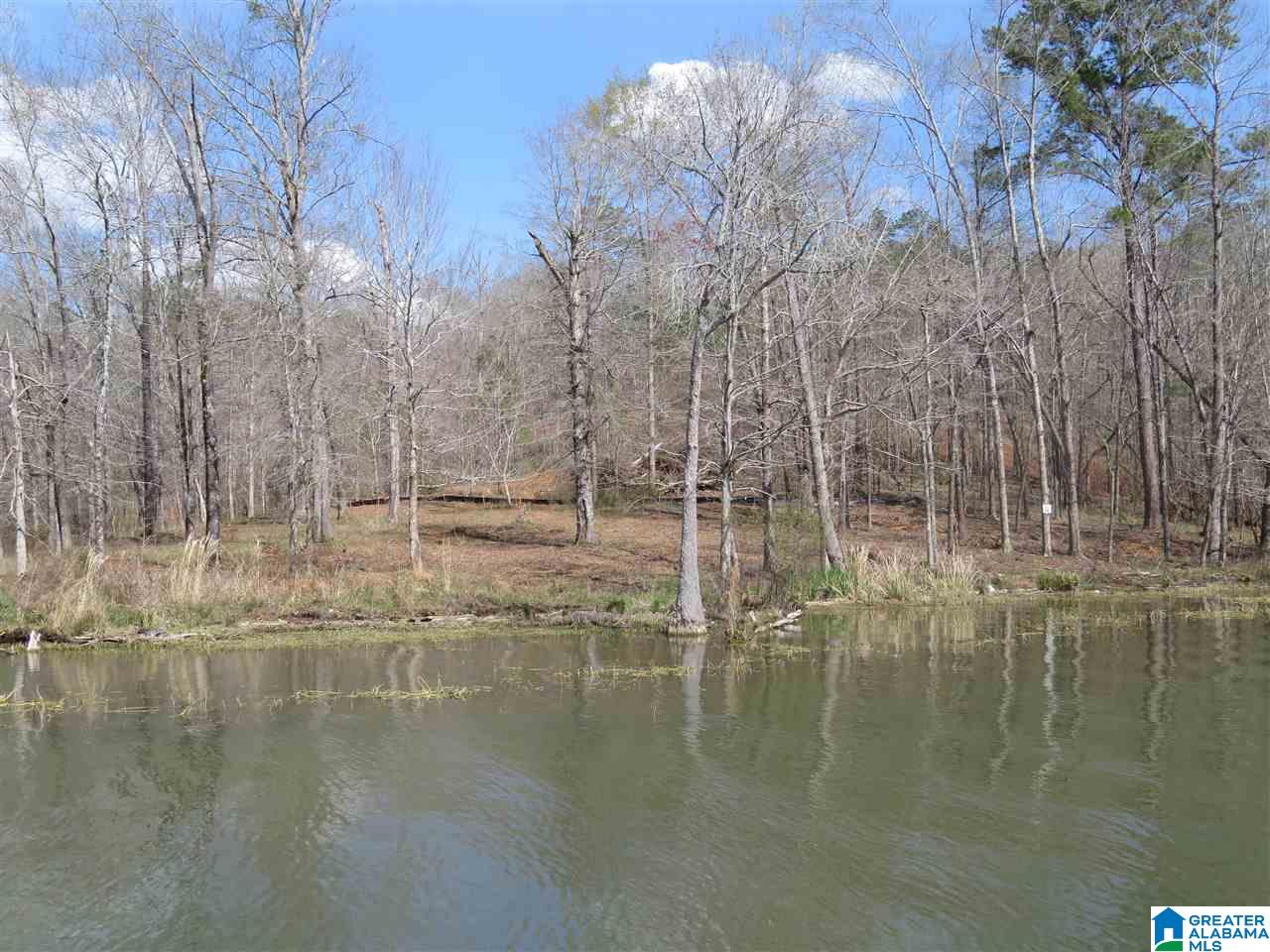 Lot 15 Eagle Point Trace, Unit 15 Alexander City, AL 35010 - Photo 2 of 11