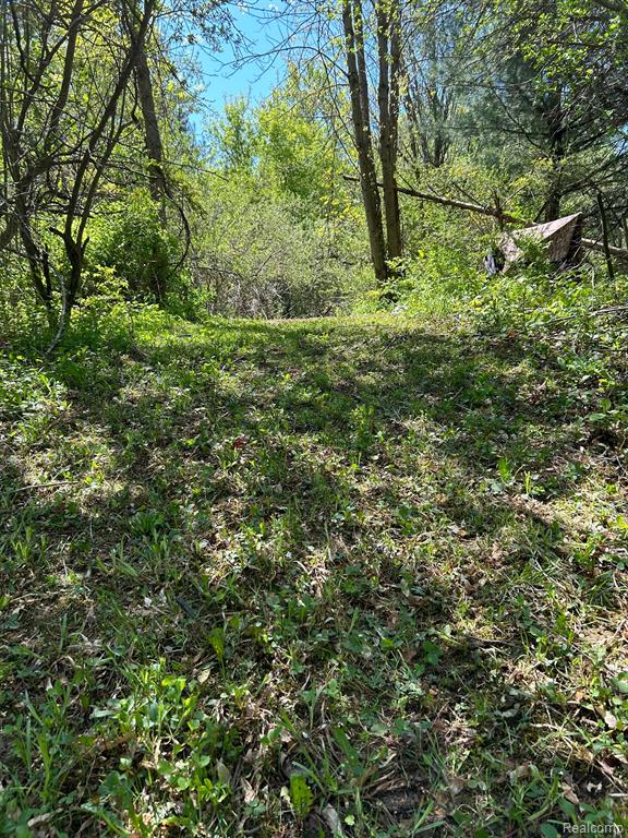 6725 Townsend Road Applegate, MI 48401 - Photo 29 of 32