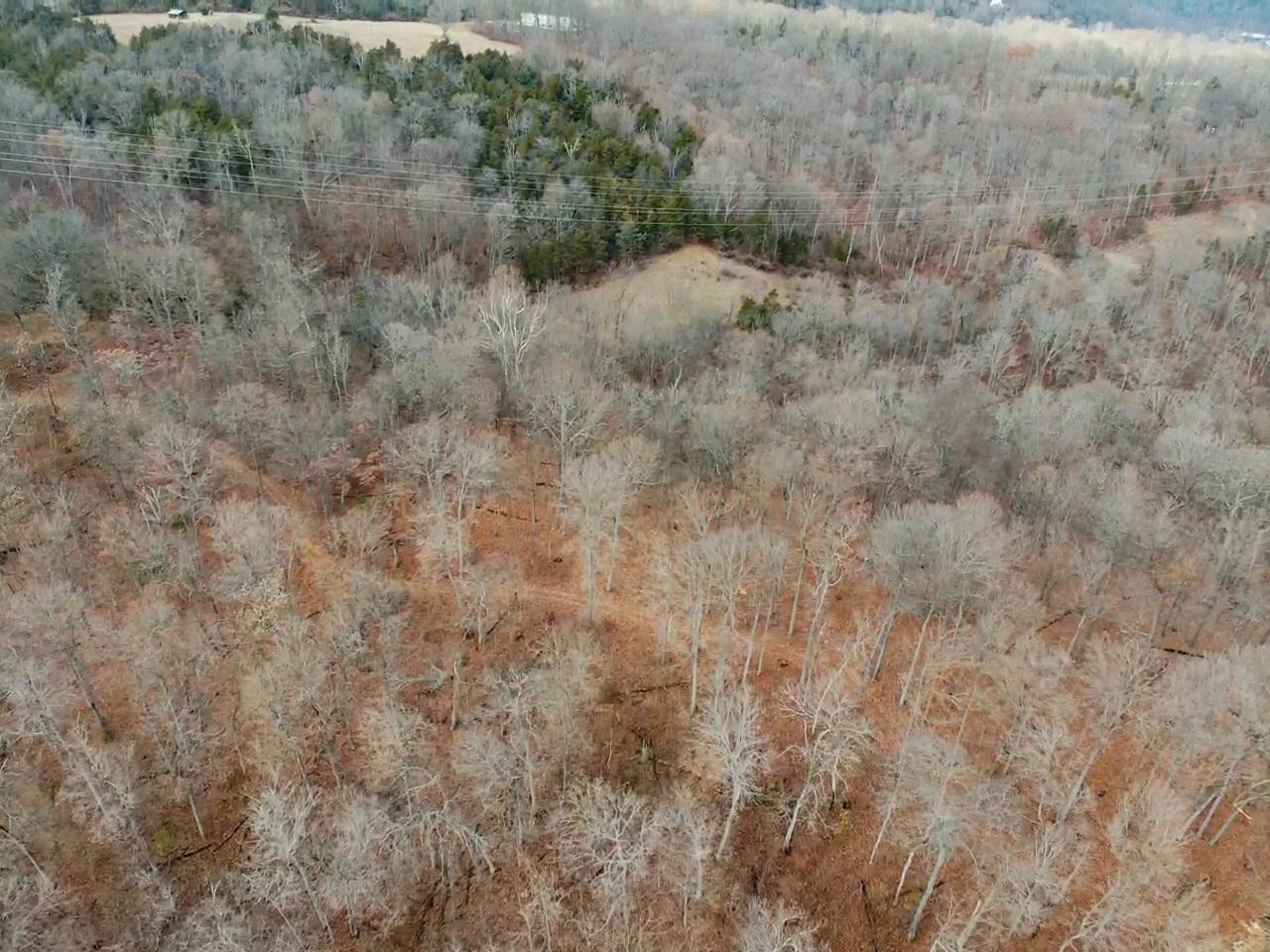 0 Hidden View Road Marysville, IN 47141 - Photo 4 of 9