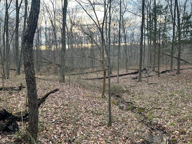 0 Hidden View Road Marysville, IN 47141 - Photo 8 of 9