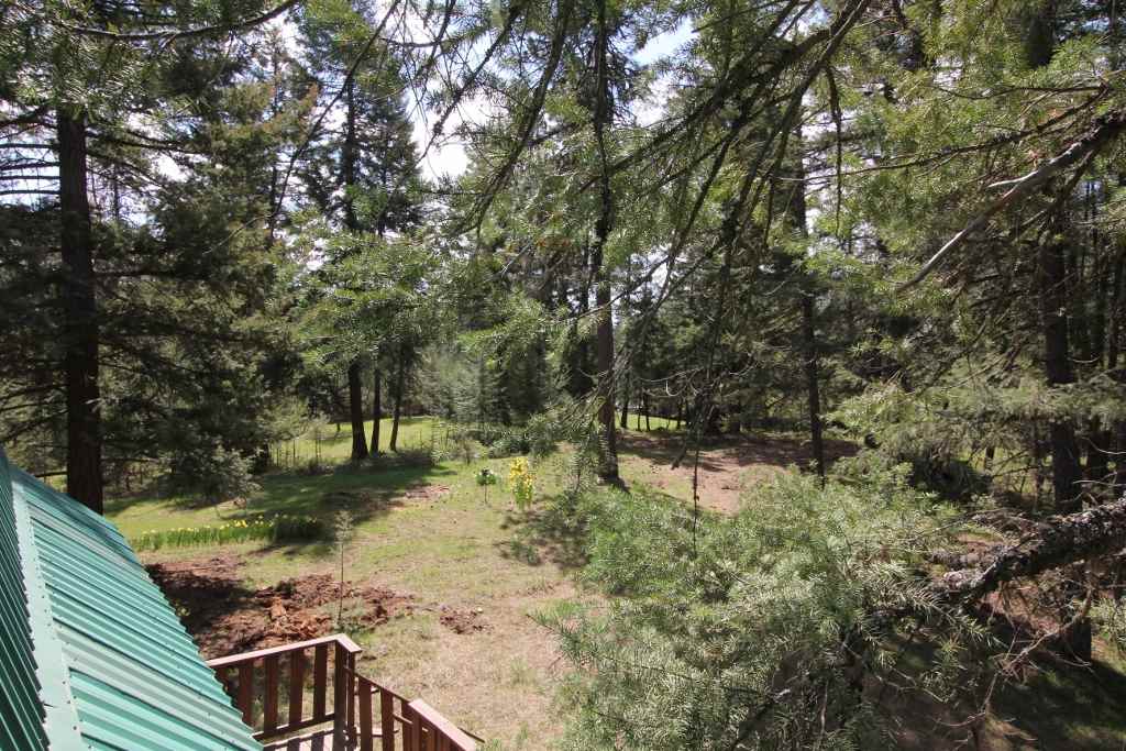 15812 East Oregon Road Elk, WA 99009 - Photo 19 of 20