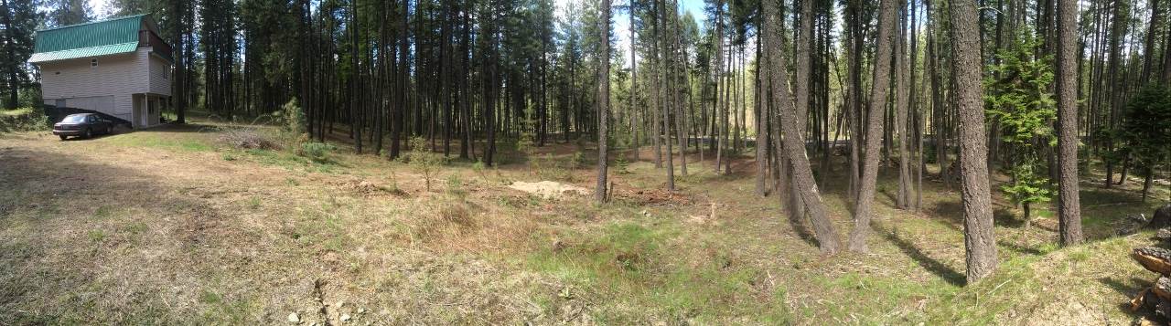 15812 East Oregon Road Elk, WA 99009 - Photo 4 of 20