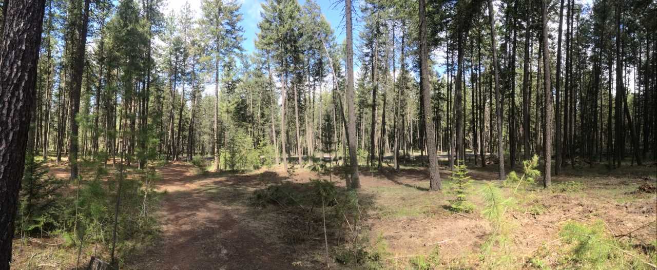 15812 East Oregon Road Elk, WA 99009 - Photo 5 of 20