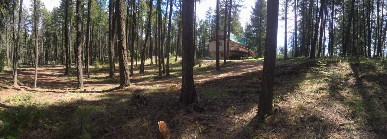 15812 East Oregon Road Elk, WA 99009 - Photo 6 of 20