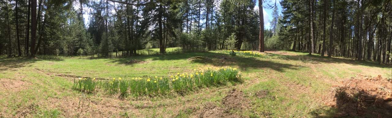 15812 East Oregon Road Elk, WA 99009 - Photo 7 of 20