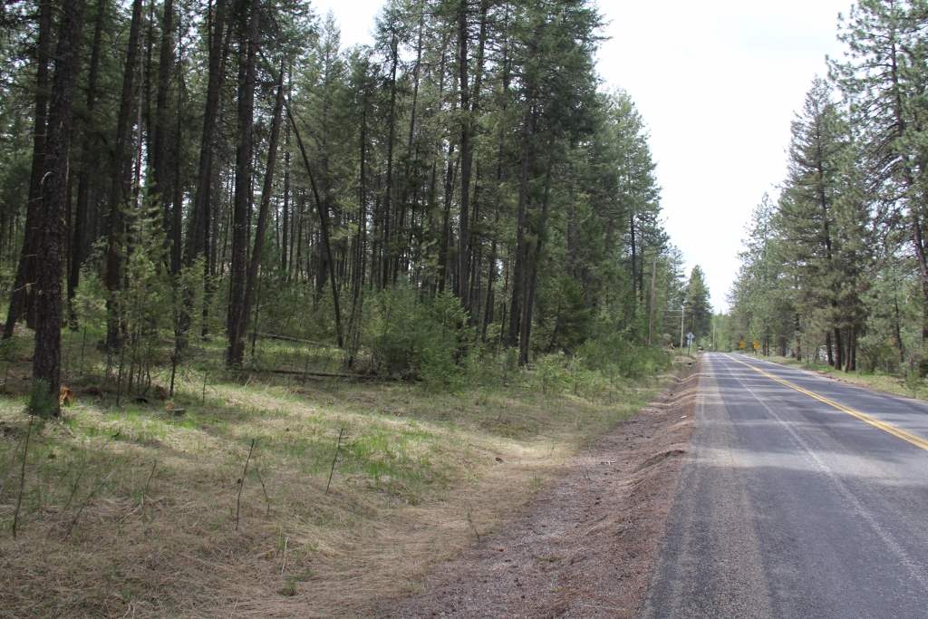 15812 East Oregon Road Elk, WA 99009 - Photo 10 of 20