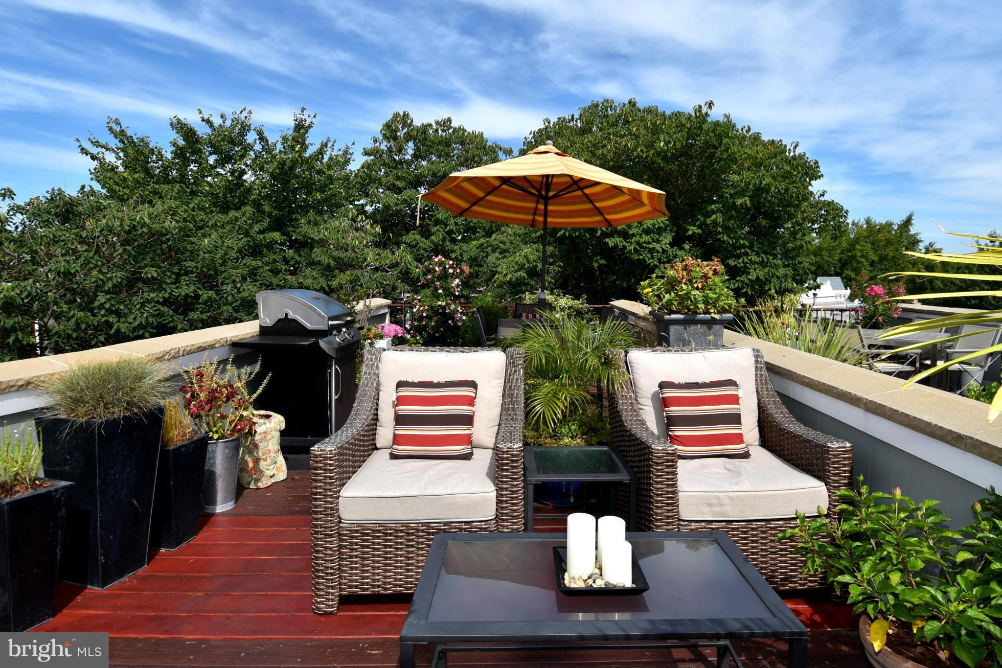 509 P Street Northwest, Unit 2 Washington, DC 20001 - Photo 23 of 30 400sf Roof Deck