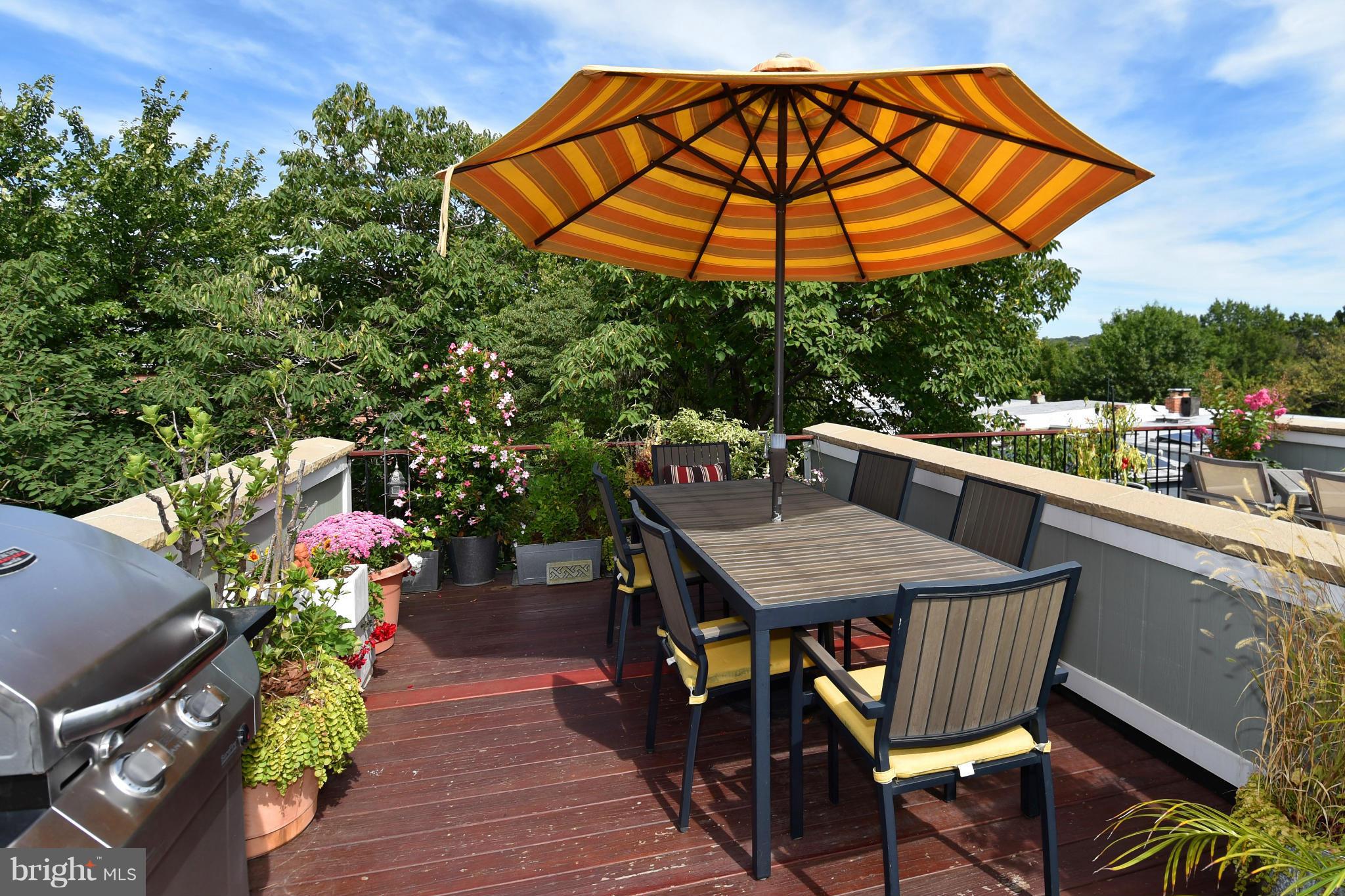 509 P Street Northwest, Unit 2 Washington, DC 20001 - Photo 24 of 30 400sf Roof Deck