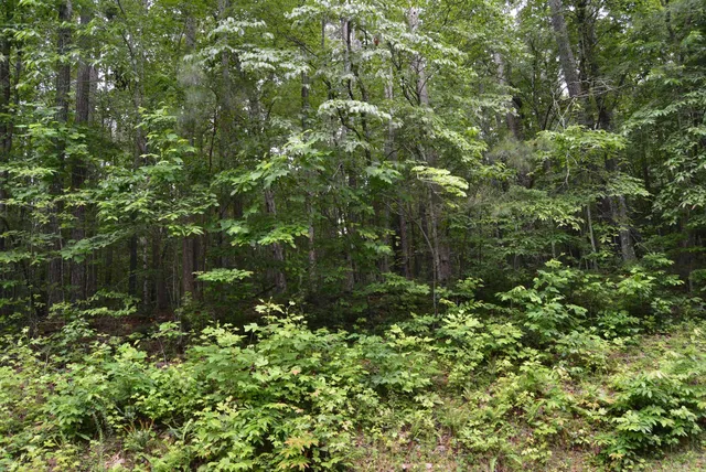 $1,802,350 | 0 Tom Wright Road, Franklinton, NC 27525